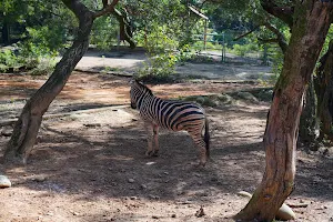 Wildlife Kingdom image