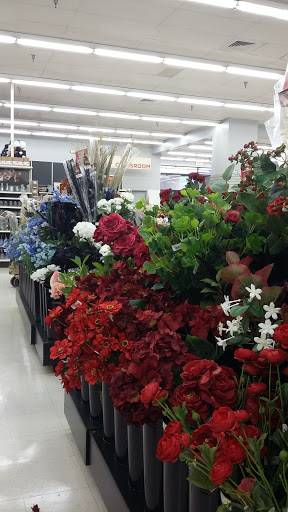 Craft Store «A.C. Moore Arts and Crafts», reviews and photos, 4250 Electric Rd, Roanoke, VA 24018, USA