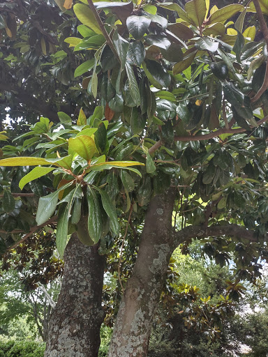 History Museum «Gone With the Wind Museum», reviews and photos, 18 Whitlock Ave NW, Marietta, GA 30064, USA