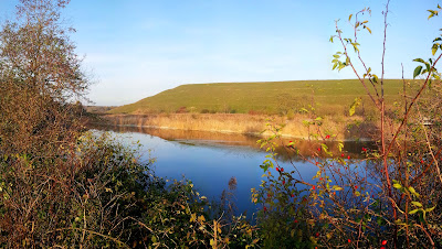 La coulée verte à Staffelfelden