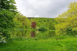 Fürstlich Greizer Park image