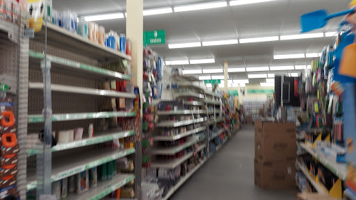 Dollar Store «Dollar Tree», reviews and photos, 3201 Rolling Oaks Blvd, Kissimmee, FL 34747, USA