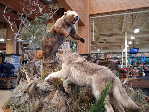 Shopping Mall «Asheville Outlets», reviews and photos, 800 Brevard Rd, Asheville, NC 28806, USA