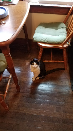 Pet Supply Store «Petco Animal Supplies», reviews and photos, 3387 Steelyard Dr, Cleveland, OH 44109, USA