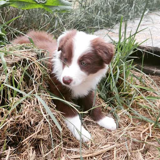 13914 NE 16th Ave, Vancouver, WA 98685, USA