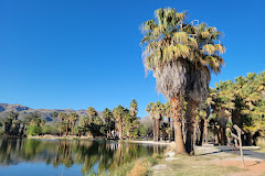 Agua Caliente Regional Park