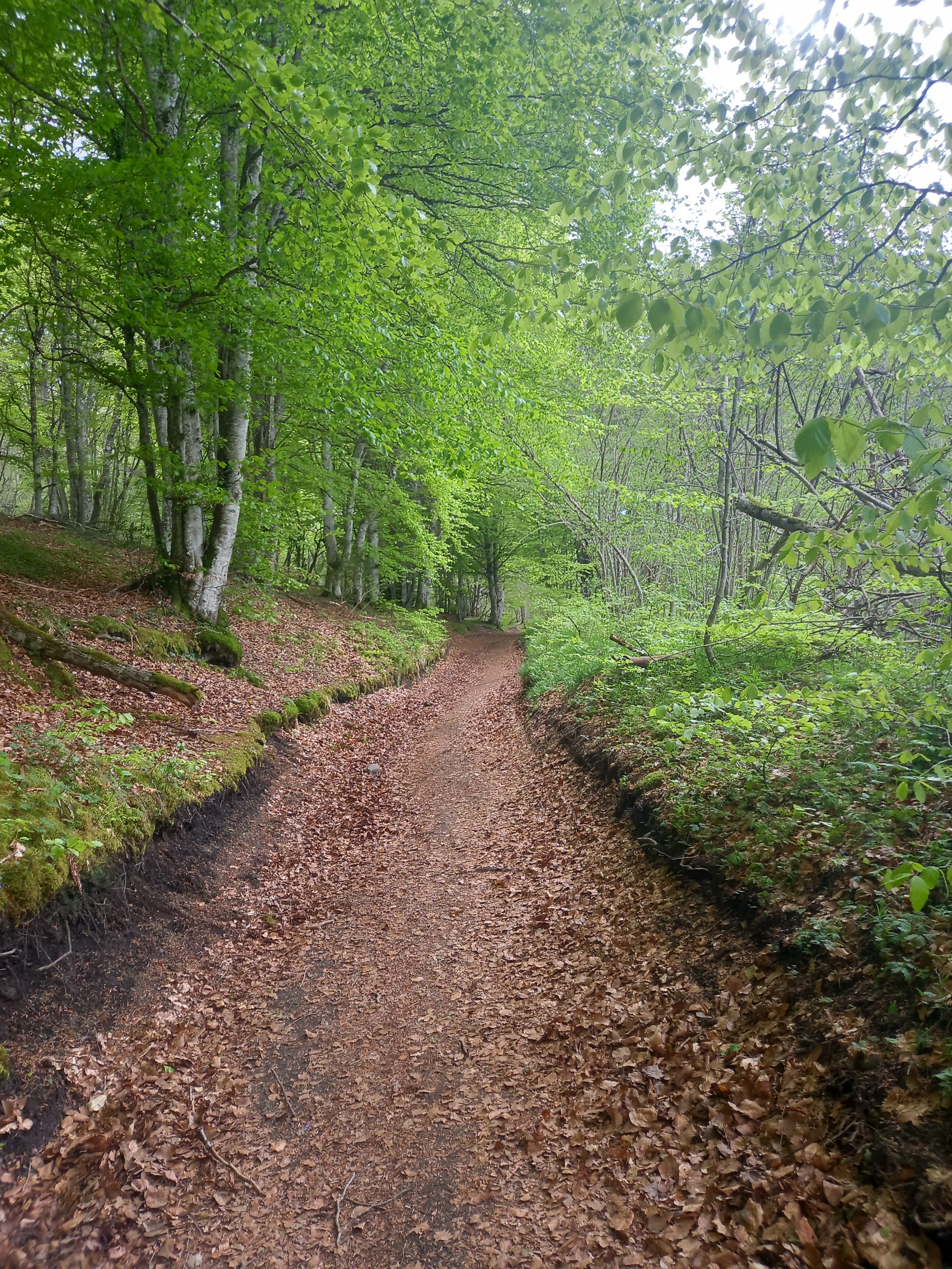 Photo n° 1 de l'avis de floflo.l fait le 19/05/2023 à 16:53