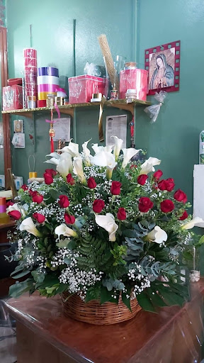 Flores Del Rosedal Cuernavaca – Cuernavaca