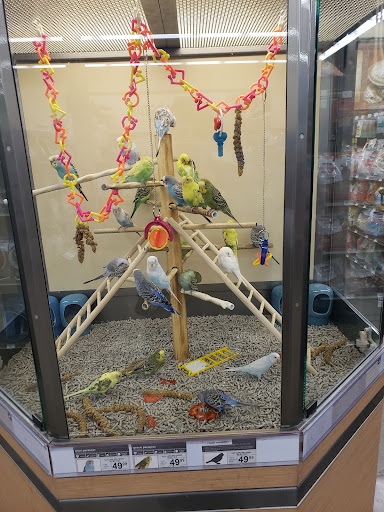 Pet Supply Store «Petco Animal Supplies», reviews and photos, 585 E Wetmore Rd, Tucson, AZ 85705, USA