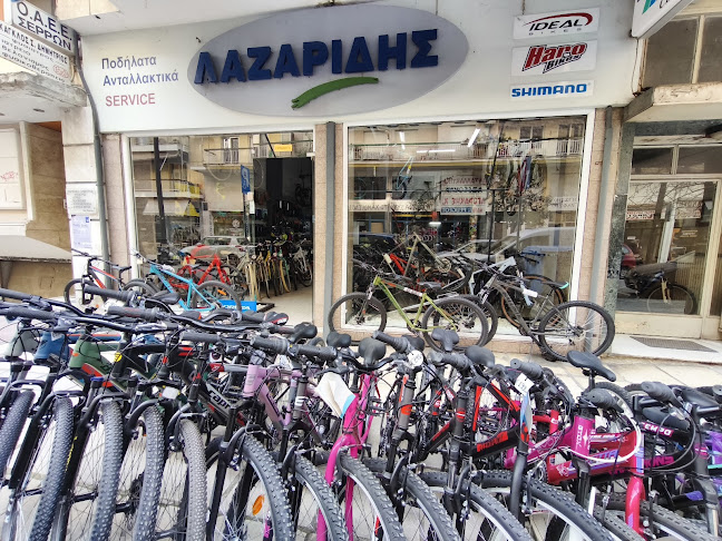 ΛΑΖΑΡΙΔΗΣ ΝΙΚΟΛΑΟΣ - Κατάστημα