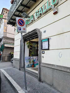 Farmacia Gallo Via Roma, 345, 80017 Melito di Napoli NA, Italia