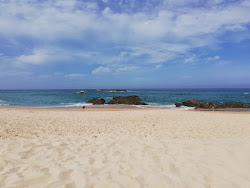Praia da Cerca Nova'in fotoğrafı vahşi alan