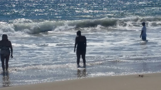 Non-Profit Organization «Families Forward», reviews and photos