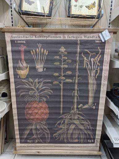 Craft Store «Michaels», reviews and photos, 2630 S Green Bay Rd a, Mt Pleasant, WI 53406, USA