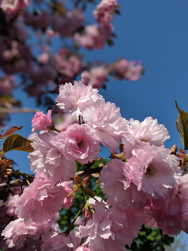 Golf Course «Wind Watch Golf & Country Club», reviews and photos, 1715 Motor Pkwy, Hauppauge, NY 11788, USA