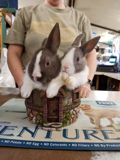 Pet Store «Liberty Agway Pet Center», reviews and photos, 11 Bon Jovi Ln, Liberty, NY 12754, USA