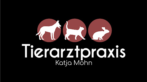 Tierarztpraxis Katja Mohn in Wangen unter Wangen im Allgäu, Baden Württemberg