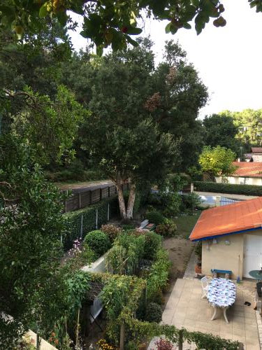 Photo n° 3 de l'avis de DUJOLS.U fait le 30/09/2019 à 21:30