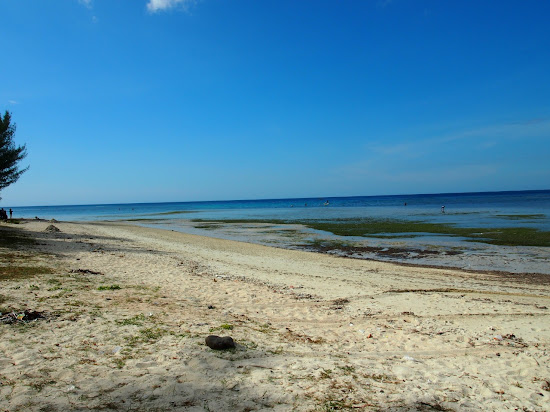 Medana Dewi Bahari Beach