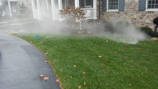 Grocery Store «Primos Mini Market», reviews and photos, 37 Strode Ave, Coatesville, PA 19320, USA