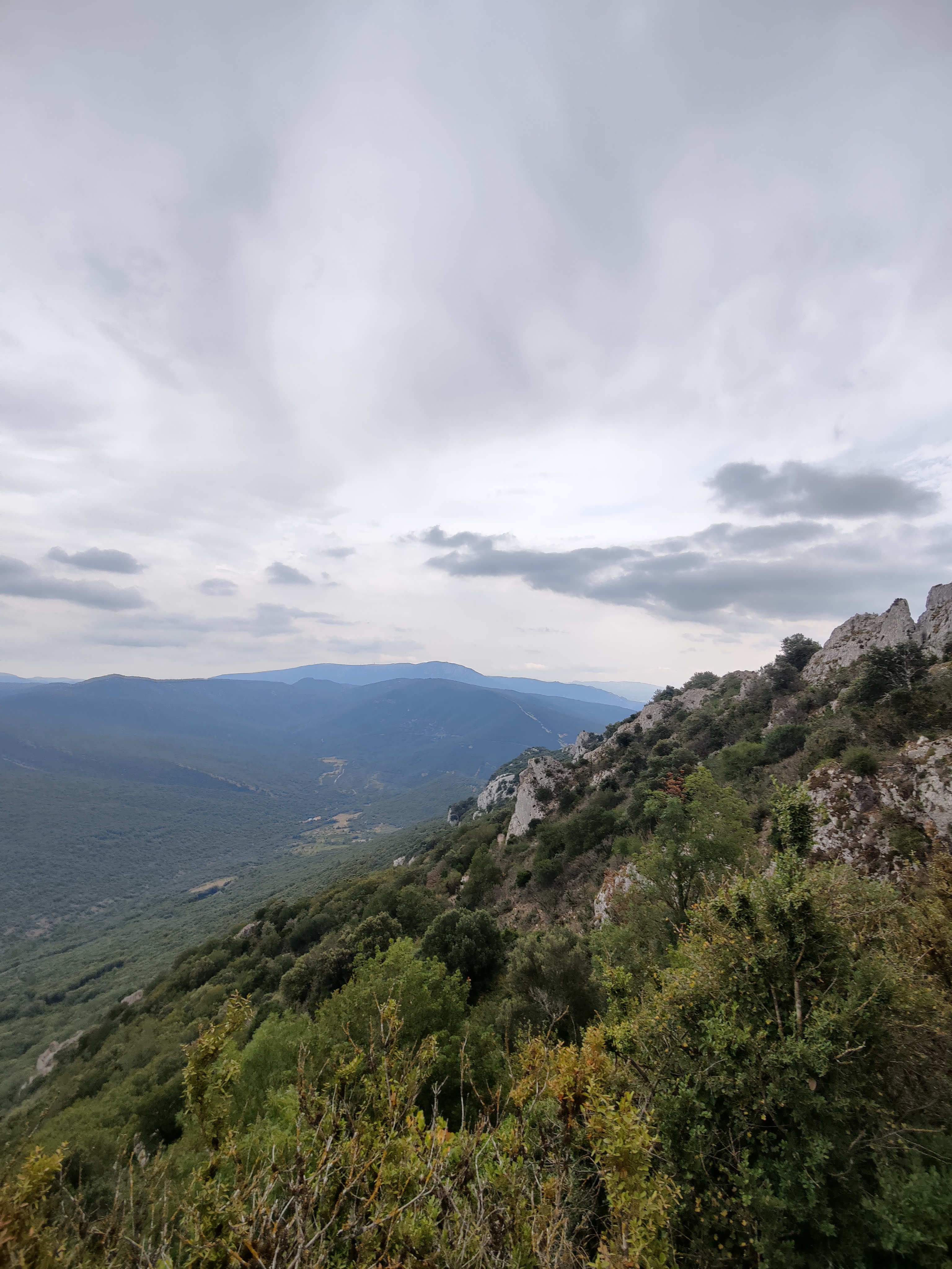 Photo n° 2 de l'avis de Jason.e fait le 18/08/2023 à 17:35