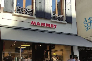 Mammut Store Chamonix image
