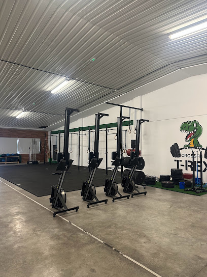 CROSSFIT FUENLABRADA - GIMNASIO - HALTEROFILIA -CROSSFIT T-REX