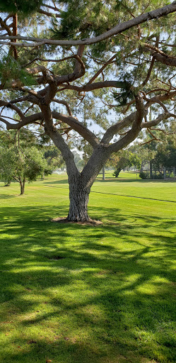 Golf Course «Cerritos Iron-Wood Nine Golf Course», reviews and photos, 16449 Piuma Ave, Cerritos, CA 90703, USA