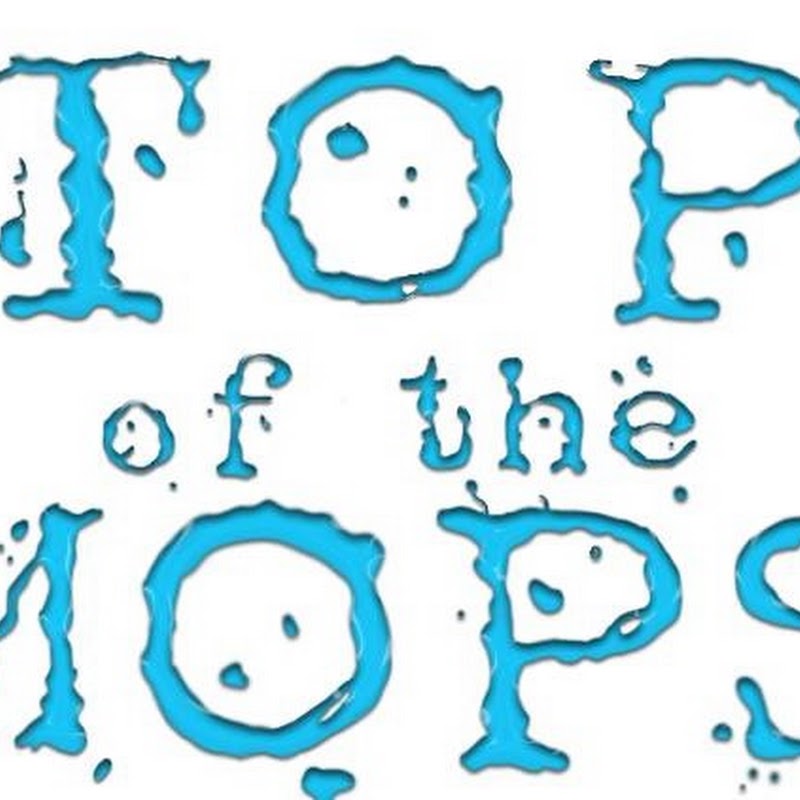 Top of the Mops Ltd