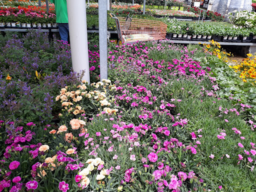 Home Improvement Store «The Home Depot», reviews and photos, 1336 Bristol Pike, Bensalem, PA 19020, USA