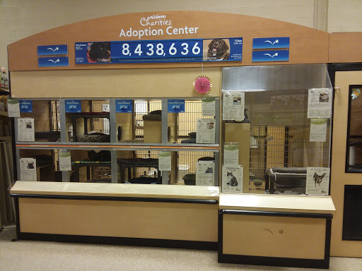 Pet Supply Store «PetSmart», reviews and photos, 13241 Gateway Center Dr, Gainesville, VA 20155, USA