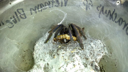 Pet Store «The Pet Works», reviews and photos, 407 4th Ave E, Olympia, WA 98501, USA