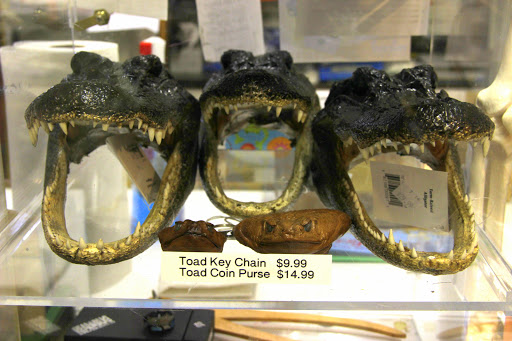 Toy Store «Brookside Toy and Science», reviews and photos, 330 W 63rd St, Kansas City, MO 64113, USA