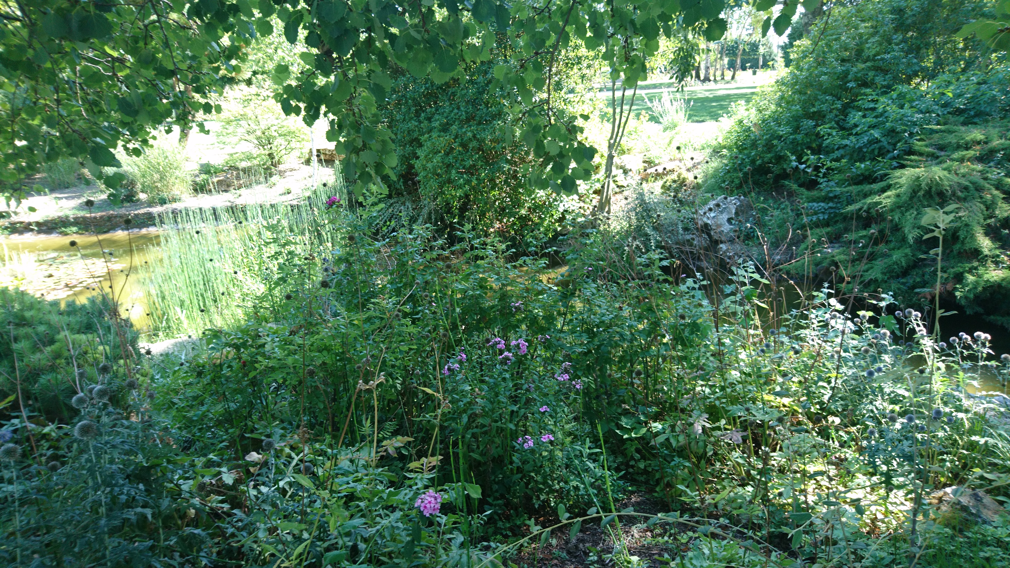 Photo n° 35 de l'avis de david.o fait le 23/08/2019 à 15:25