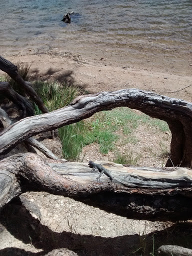 Water Park «Lake Gregory Regional Park», reviews and photos, 24171 Lake Dr, Crestline, CA 92325, USA