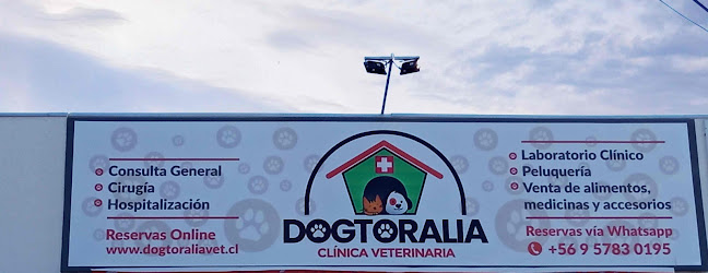 Dogtoralia - Veterinario
