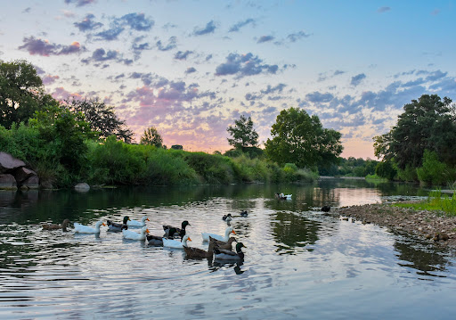 Public Golf Course «Lady Bird Johnson Golf Course», reviews and photos, 341 Golfers Loop, Fredericksburg, TX 78624, USA