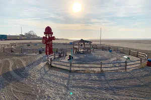 Wildwood Dog Park & Beach image