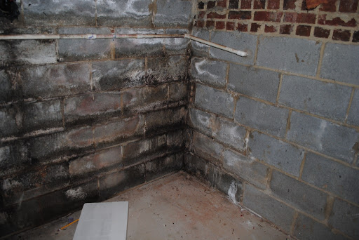 Water Damage Restoration Service «Crawl Space & Basement Technologies», reviews and photos