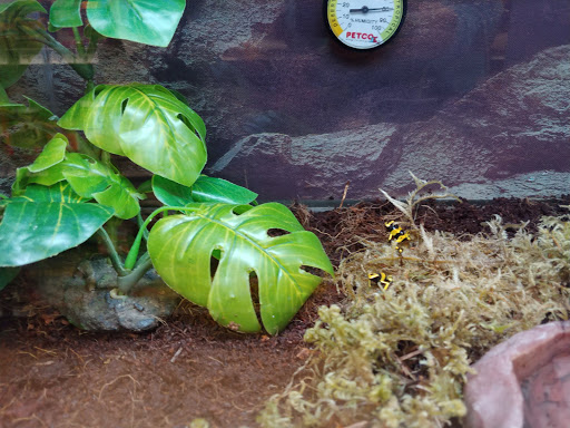 Pet Supply Store «Petco Animal Supplies», reviews and photos, 3055 N President George Bush Hwy, Garland, TX 75040, USA