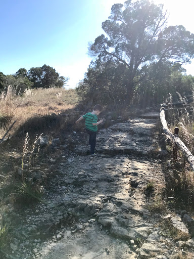 Park «Wild Basin Wilderness Preserve», reviews and photos, 805 N Capital of Texas Hwy, Austin, TX 78746, USA