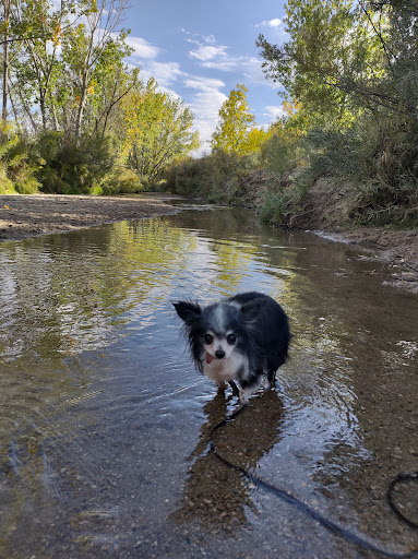State Park «Cherry Creek State Park», reviews and photos, 4201 S Parker Rd, Aurora, CO 80014, USA