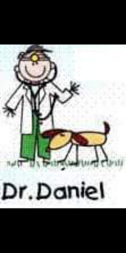 Comentarios y opiniones de Veterinaria Dr. Daniel Ibarra A. / Curicó