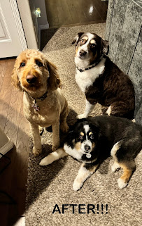 Tail Town LLC - Photo 1 - Car repair in , Colorado Springs