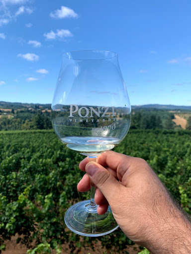 Vineyard «Ponzi Winery», reviews and photos, 19500 SW Mountain Home Rd, Sherwood, OR 97140, USA