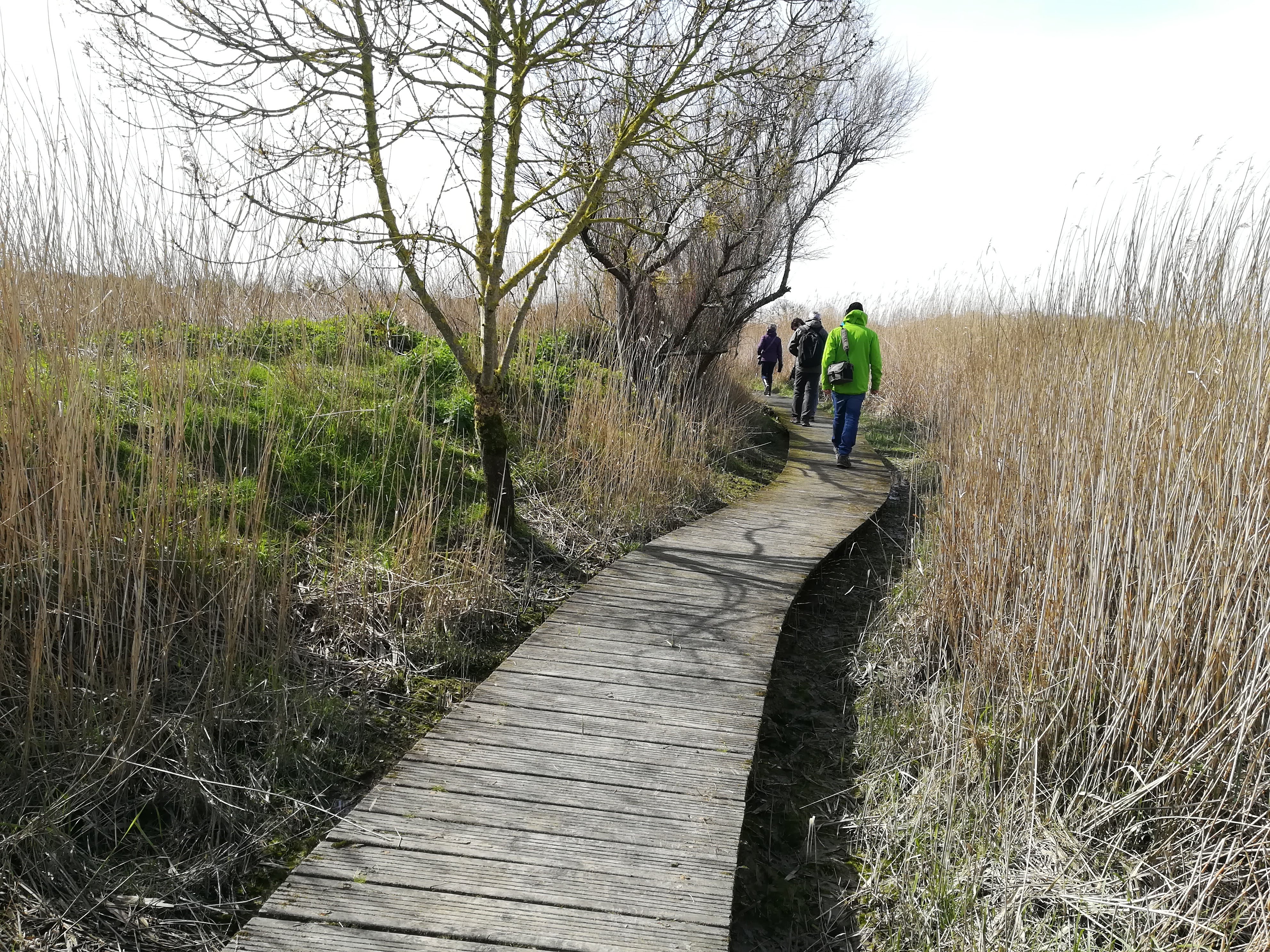 Photo n° 18 de l'avis de Nathalie.e fait le 12/03/2019 à 11:58