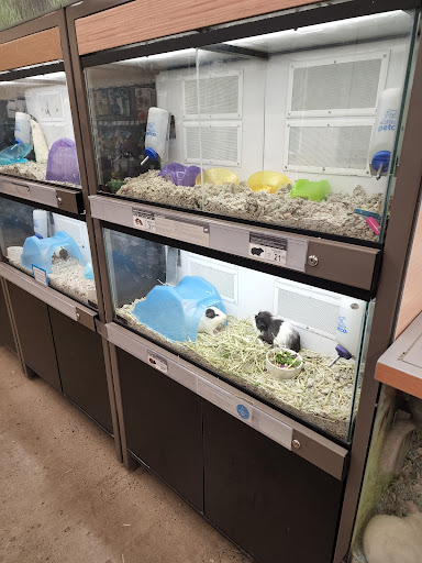 Pet Supply Store «Petco Animal Supplies», reviews and photos, 40 Colonnade Way, State College, PA 16803, USA