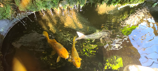 Explore cna tattoo ideas, creative tattoo ideas in Albuquerque, available at Evolution Body Piercing