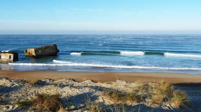 Ecole de Surf WASA Capbreton - Surf Camp - Water Addict Surf Academy - à Capbreton