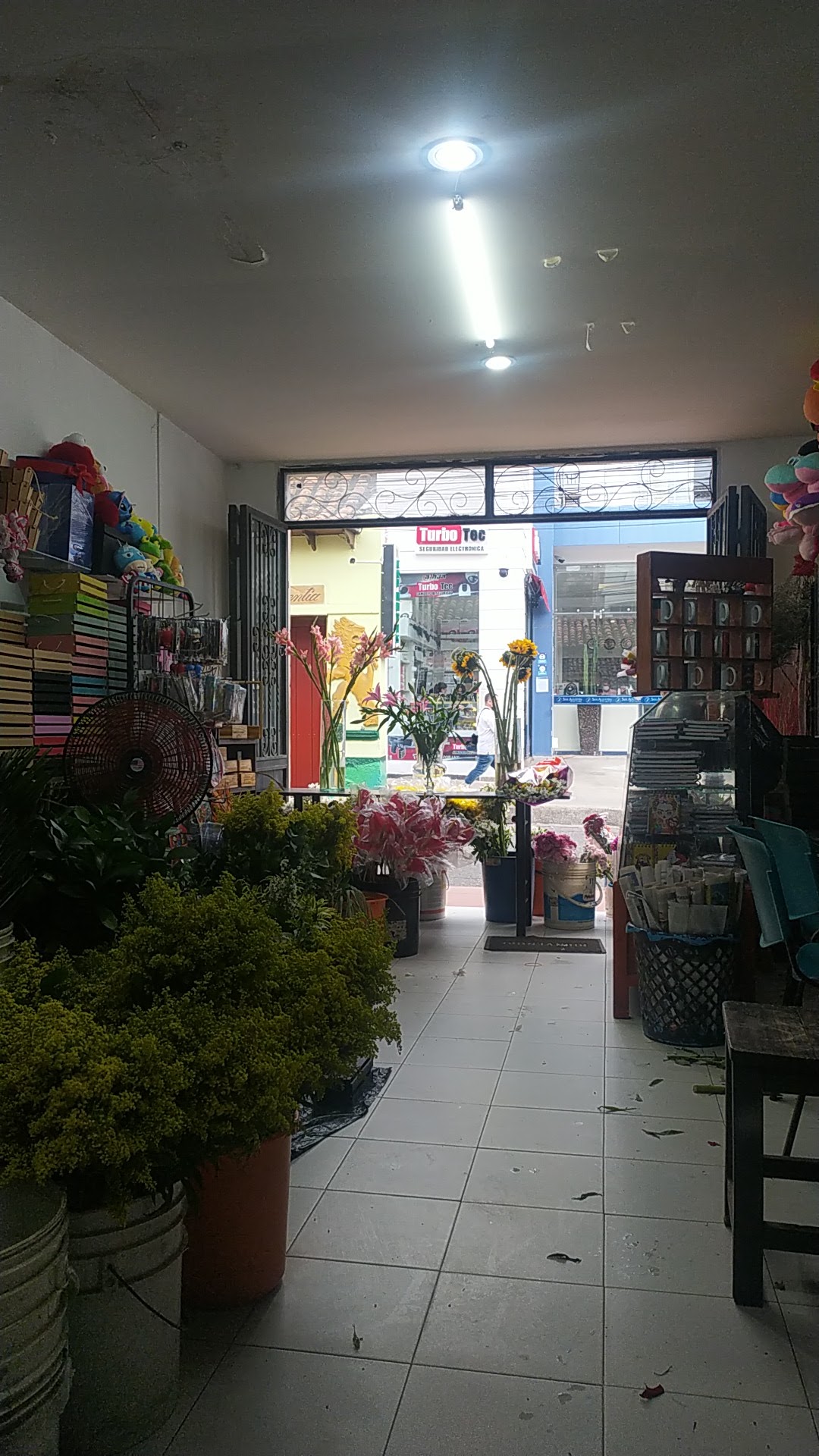 Floristería Olimphia & Sofi